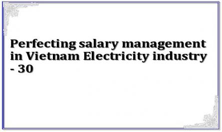 Perfecting salary management in Vietnam Electricity industry - 30