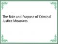 The Role and Purpose of Criminal Justice Measures
