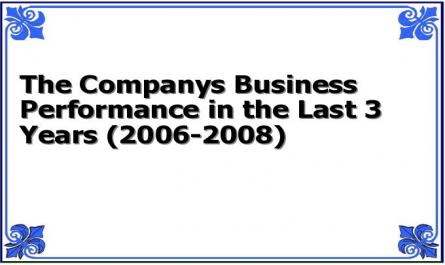 The Companys Business Performance in the Last 3 Years (2006-2008)