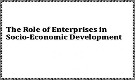 The Role of Enterprises in Socio-Economic Development