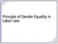 Principle of Gender Equality in Labor Law: