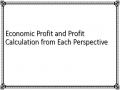 Economic Profit and Profit Calculation from Each Perspective