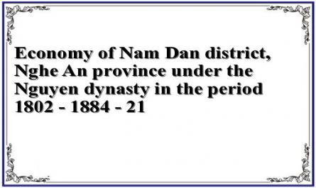 Economy of Nam Dan district, Nghe An province under the Nguyen dynasty in the period 1802 - 1884 - 21