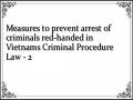 Measures to prevent arrest of criminals red-handed in Vietnams Criminal Procedure Law - 2