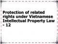 Protection of related rights under Vietnamese Intellectual Property Law - 12