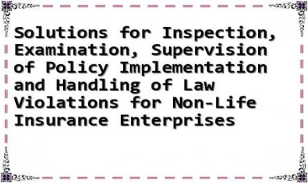 Solutions for Inspection, Examination, Supervision of Policy Implementation and Handling of Law Violations for Non-Life Insurance Enterprises