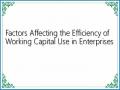 Factors Affecting the Efficiency of Working Capital Use in Enterprises