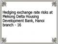 Hedging exchange rate risks at Mekong Delta Housing Development Bank, Hanoi branch - 16