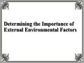 Determining the Importance of External Environmental Factors