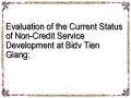 Evaluation of the Current Status of Non-Credit Service Development at Bidv Tien Giang: