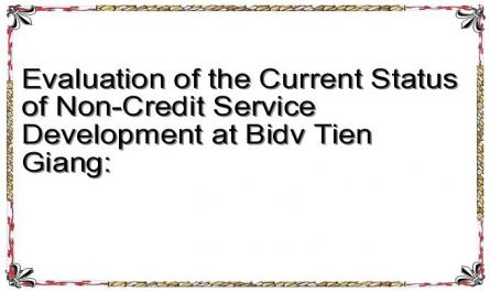 Evaluation of the Current Status of Non-Credit Service Development at Bidv Tien Giang: