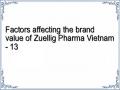 Factors affecting the brand value of Zuellig Pharma Vietnam - 13