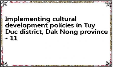 Implementing cultural development policies in Tuy Duc district, Dak Nong province - 11