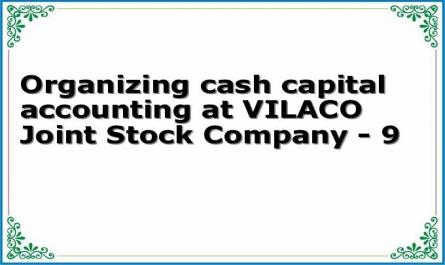 Organizing cash capital accounting at VILACO Joint Stock Company - 9