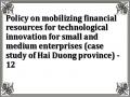 Policy on mobilizing financial resources for technological innovation for small and medium enterprises (case study of Hai Duong province) - 12