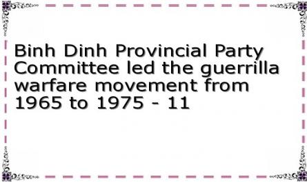 Binh Dinh Provincial Party Committee led the guerrilla warfare movement from 1965 to 1975 - 11