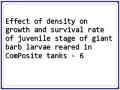 Effect of density on growth and survival rate of juvenile stage of giant barb larvae reared in ComPosite tanks - 6