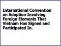 International Convention on Adoption Involving Foreign Elements That Vietnam Has Signed and Participated In.