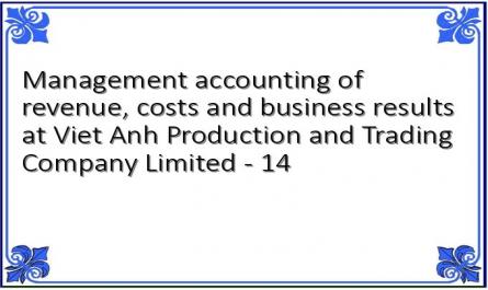 Management accounting of revenue, costs and business results at Viet Anh Production and Trading Company Limited - 14
