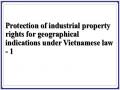 Protection of industrial property rights for geographical indications under Vietnamese law - 1