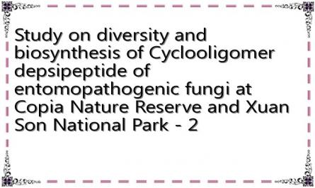 Study on diversity and biosynthesis of Cyclooligomer depsipeptide of entomopathogenic fungi at Copia Nature Reserve and Xuan Son National Park - 2