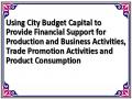 Using City Budget Capital to Provide Financial Support for Production and Business Activities, Trade Promotion Activities and Product Consumption