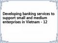 Developing banking services to support small and medium enterprises in Vietnam - 12