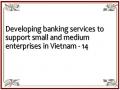 Developing banking services to support small and medium enterprises in Vietnam - 14