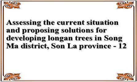 Assessing the current situation and proposing solutions for developing longan trees in Song Ma district, Son La province - 12