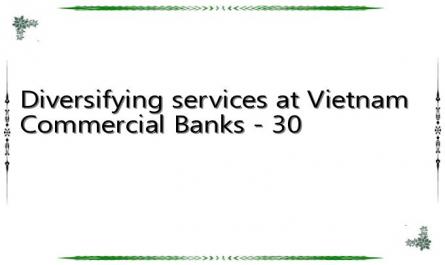 Diversifying services at Vietnam Commercial Banks - 30
