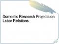Domestic Research Projects on Labor Relations