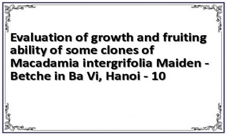 Evaluation of growth and fruiting ability of some clones of Macadamia intergrifolia Maiden - Betche in Ba Vi, Hanoi - 10