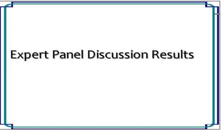 Expert Panel Discussion Results