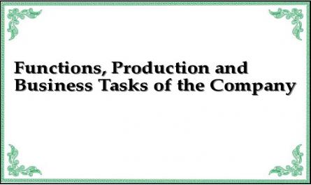 Functions, Production and Business Tasks of the Company