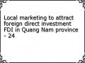 Local marketing to attract foreign direct investment FDI in Quang Nam province - 24