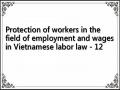 Protection of workers in the field of employment and wages in Vietnamese labor law - 12