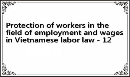 Protection of workers in the field of employment and wages in Vietnamese labor law - 12