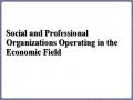 Social and Professional Organizations Operating in the Economic Field