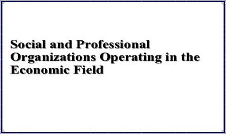 Social and Professional Organizations Operating in the Economic Field