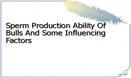 Sperm Production Ability Of Bulls And Some Influencing Factors