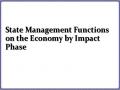 State Management Functions on the Economy by Impact Phase