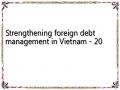 Strengthening foreign debt management in Vietnam - 20