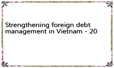 Strengthening foreign debt management in Vietnam - 20