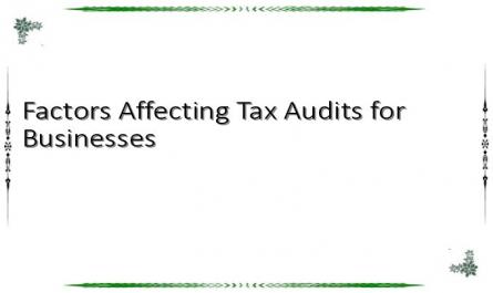 Factors Affecting Tax Audits for Businesses