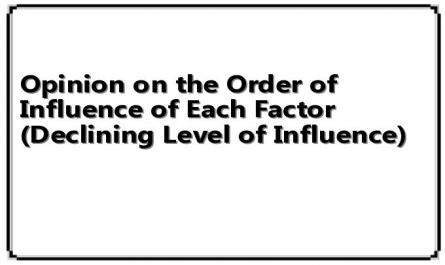 Opinion on the Order of Influence of Each Factor (Declining Level of Influence)
