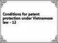 Conditions for patent protection under Vietnamese law - 12