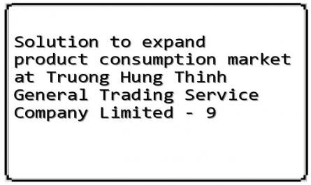Solution to expand product consumption market at Truong Hung Thinh General Trading Service Company Limited - 9
