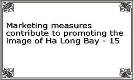 Marketing measures contribute to promoting the image of Ha Long Bay - 15