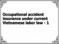 Occupational accident insurance under current Vietnamese labor law - 1