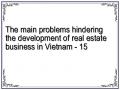 The main problems hindering the development of real estate business in Vietnam - 15